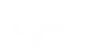 Giai đoạn 2015 – 2025: Phân khúc bất động sản nào tăng giá mạnh nhất?